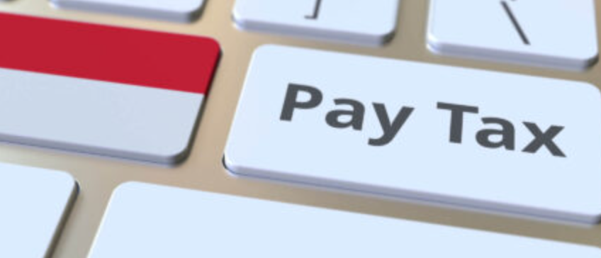 Manfaat EFIN dan Cara Mendapatkan EFIN Online